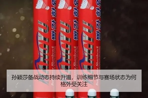 孙颖莎备战动态持续升温，训练细节与赛场状态为何格外受关注